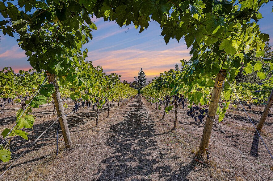 1673 Woodland Dr, Port Townsend, WA à vendre - Photo de l’immeuble – Image 1 sur 99