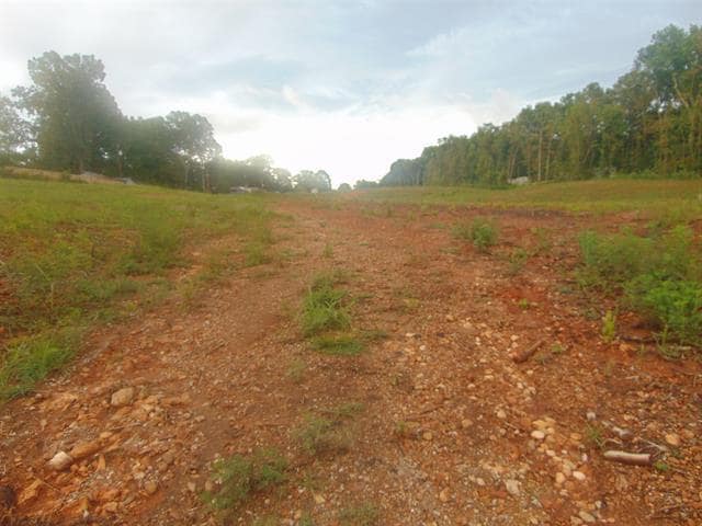 0 CR 24, Florence, AL à vendre Photo principale– Image 1 sur 8