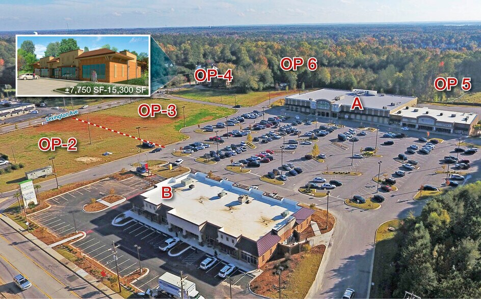 1250 Chapin Rd, Chapin, SC à louer - Photo principale – Image 1 sur 2