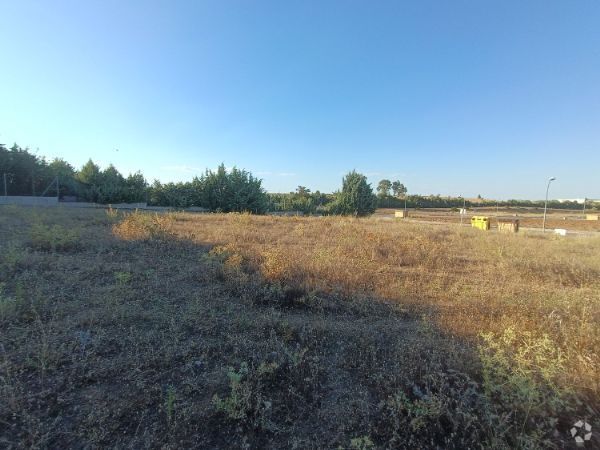 Terrain dans Valmojado, Toledo à vendre - Photo de l’immeuble – Image 3 sur 6