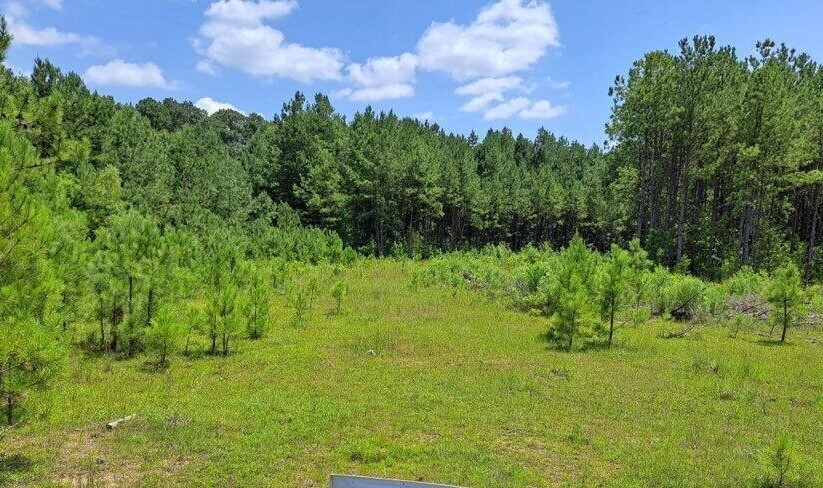 00 US 49 Hwy, Mendenhall, MS à vendre - Autre – Image 2 sur 2