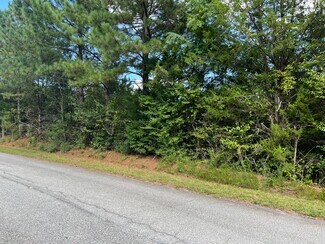 Plus de détails pour 470 Rolling Hills Road, Dacula, GA - Terrain à vendre