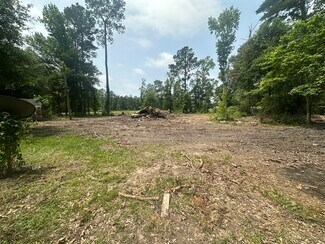 Plus de détails pour 12289 US-190, Hammond, LA - Terrain à vendre
