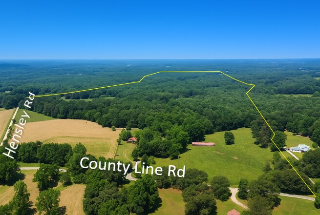 7286 County Line Rd, Lula, GA à vendre - Photo principale – Image 1 sur 16
