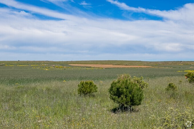 View Photo