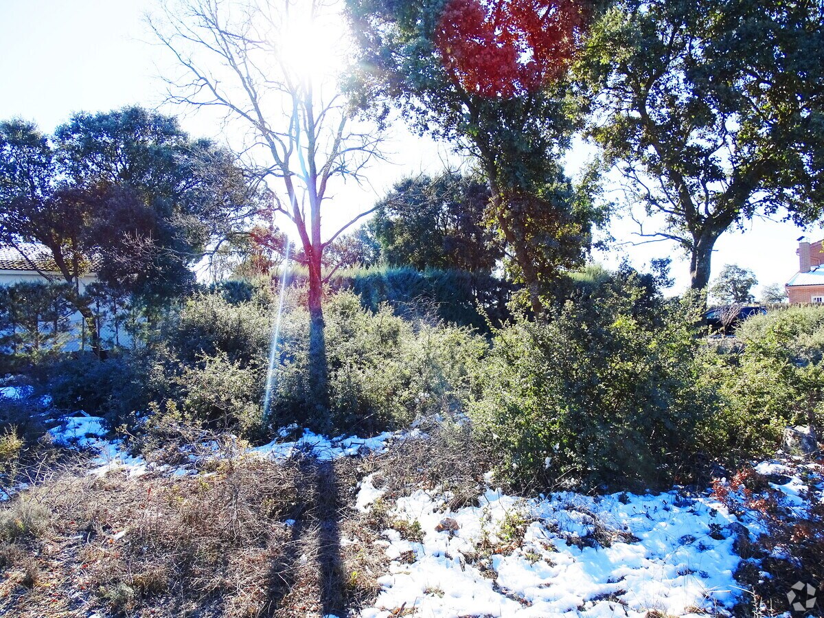 View Photo