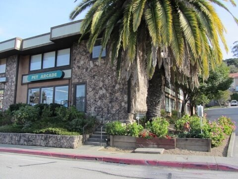 4136 Redwood Hwy, San Rafael, CA à vendre - Photo de l’immeuble – Image 3 sur 10