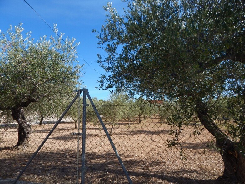 Terrain dans Ontinyent, Valencia à vendre - Photo principale – Image 3 sur 5