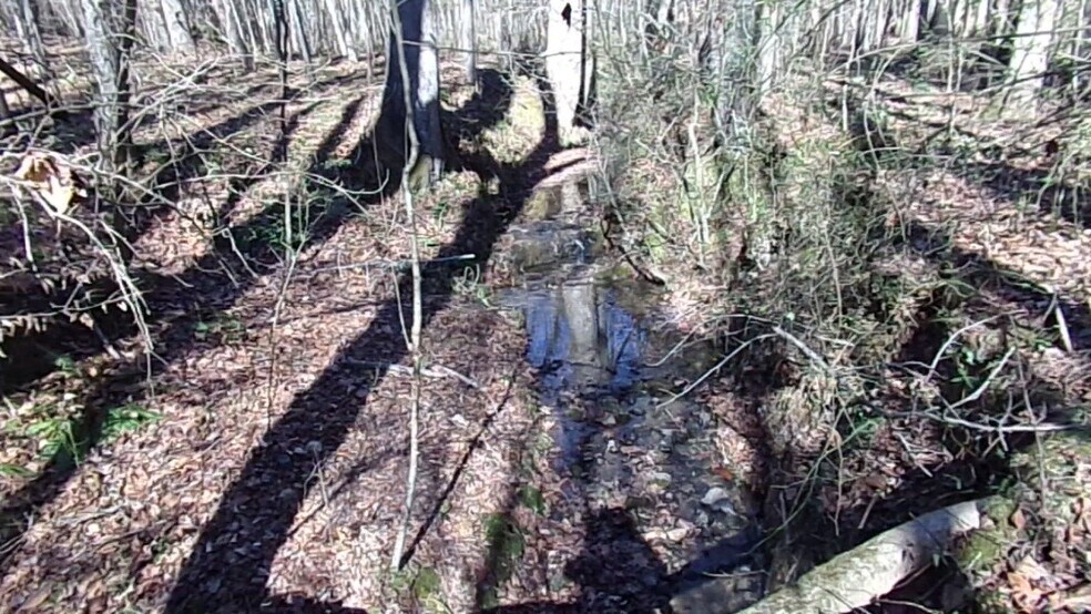 41 ACRES Hwy 55 Hwy, Clover, SC à vendre - Vidéo sur l’annonce professionnelle – Image 2 sur 11