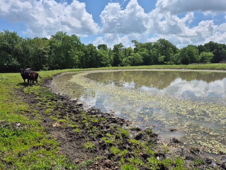 9561 N TX-50 Hwy, Ladonia, TX à vendre - Photo de l’immeuble – Image 3 sur 38