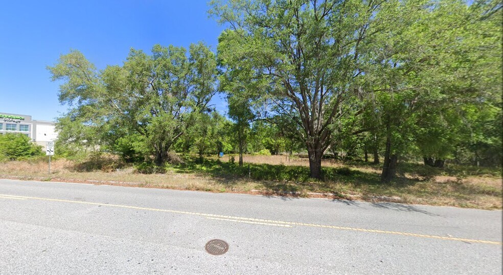 27561 Dayflower Boulevard, Wesley Chapel, FL à vendre - Autre – Image 3 sur 5