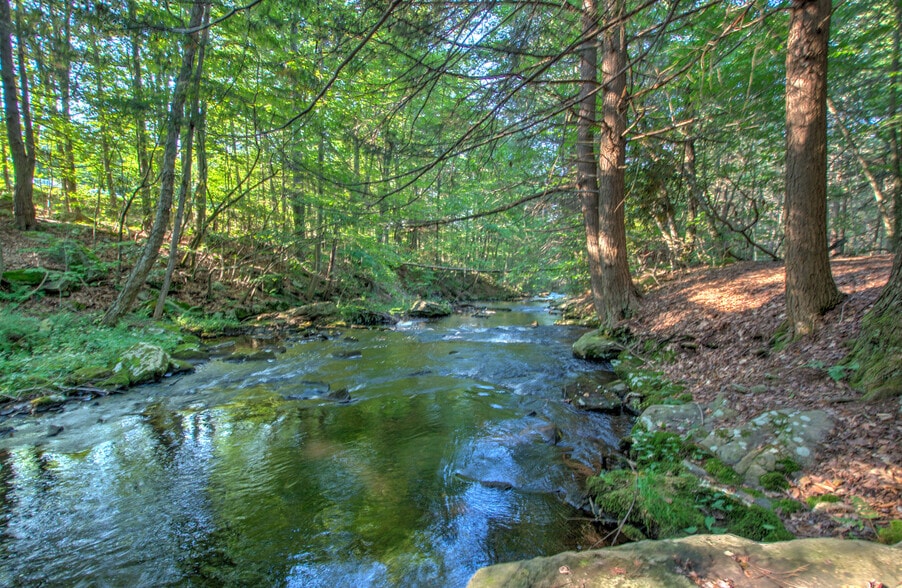 167 Route 191, Cresco, PA à louer - Photo de l’immeuble – Image 3 sur 61