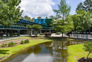 Plus de détails pour 2700 Research Forest Dr, The Woodlands, TX - Bureau à louer
