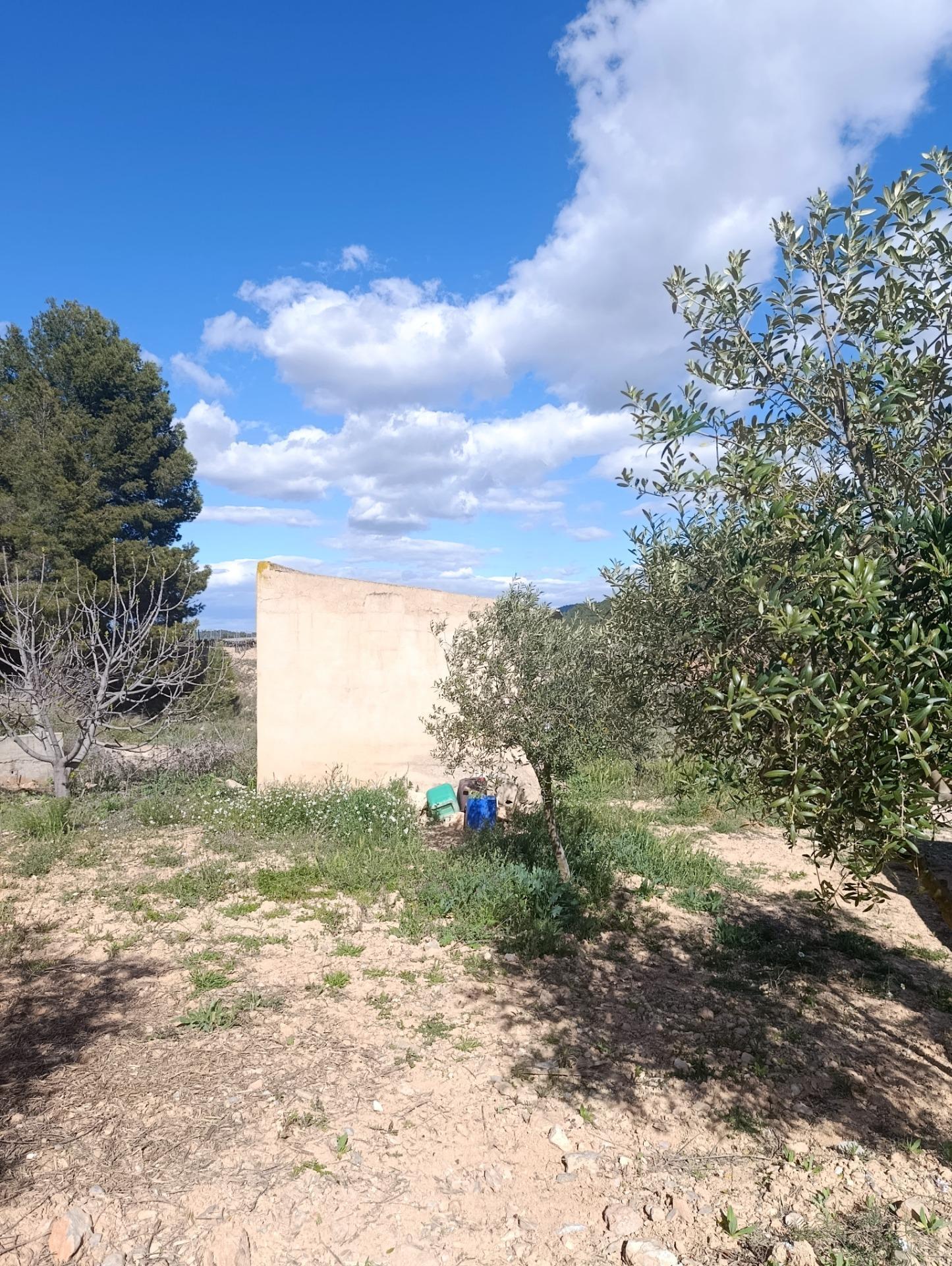 Terrain dans Cehegín, Murcia à vendre Photo de l’immeuble– Image 1 sur 14
