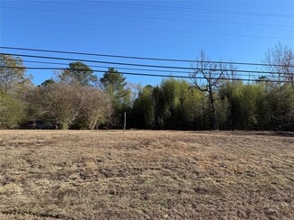 Plus de détails pour 4079 Highway 63 S, Alexander City, AL - Terrain à vendre