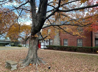 Plus de détails pour 404 S Clay Ave, Kirkwood, MO - Bureau à louer