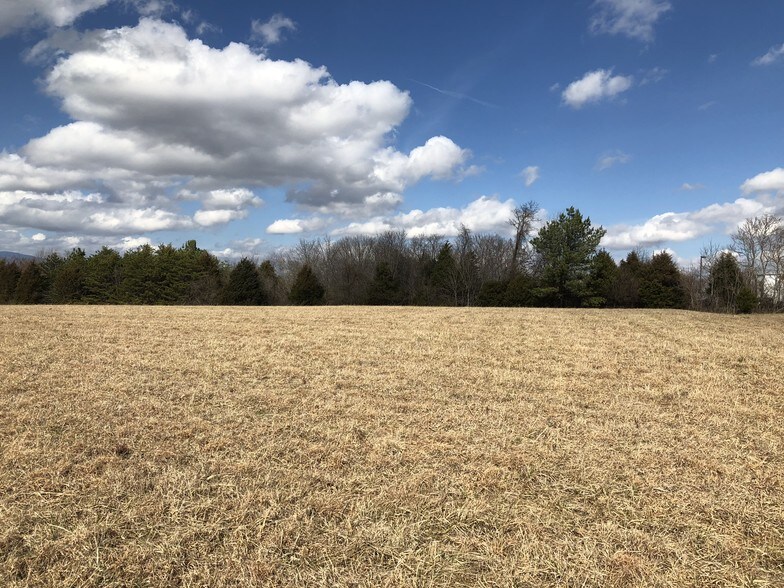 Brockman Park Drive, West & East Commerce St, Amherst, VA à vendre - Autre – Image 1 sur 2