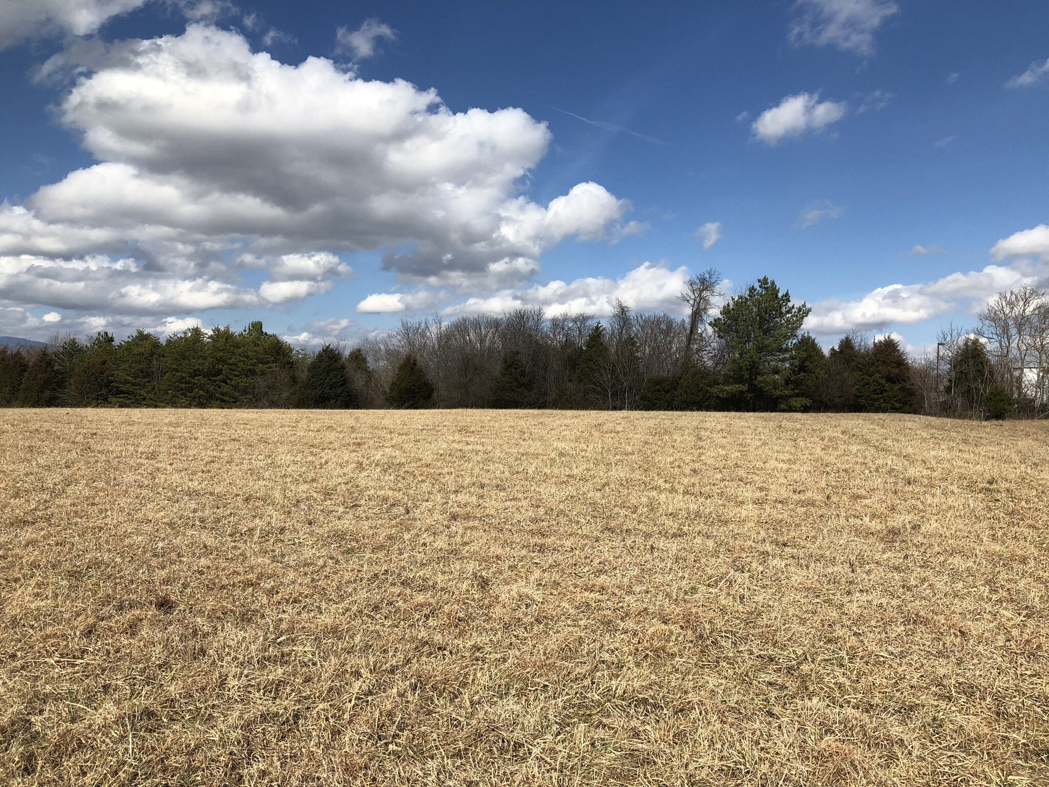 Brockman Park Drive, West & East Commerce St, Amherst, VA à vendre Autre– Image 1 sur 3