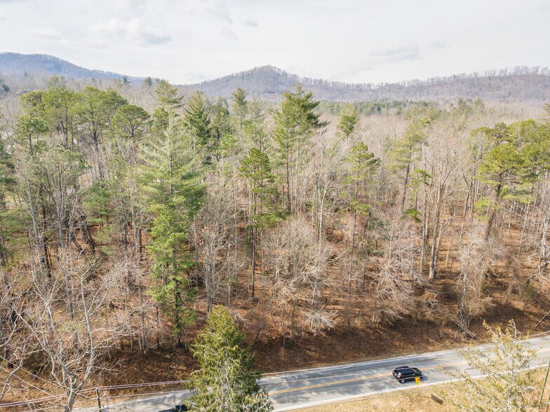 1720 Brevard Rd, Arden, NC à vendre - Aérien – Image 2 sur 13