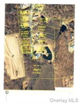 Plus de détails pour Deer Pond Rd, Verbank, NY - Terrain à vendre