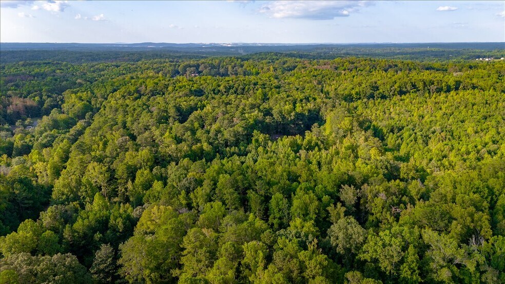 4550 Derrick Rd, College Park, GA à vendre - Aérien – Image 3 sur 8