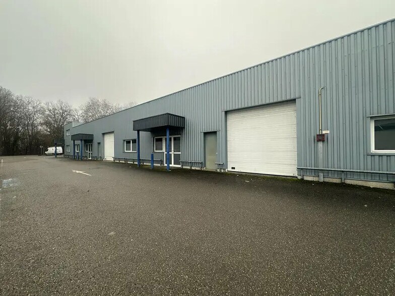 Local d’activités dans Geispolsheim à louer - Photo de l’immeuble – Image 2 sur 9