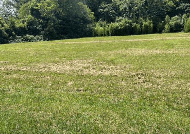 170 S Jeff Davis Dr, Fayetteville, GA à vendre - Photo de l’immeuble – Image 3 sur 16