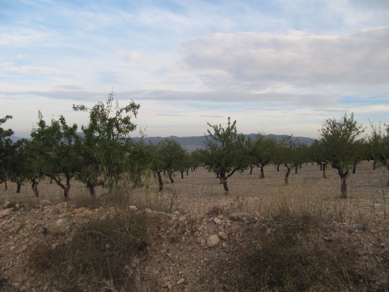 Terrain dans Salinas à vendre Photo de l’immeuble– Image 1 sur 2