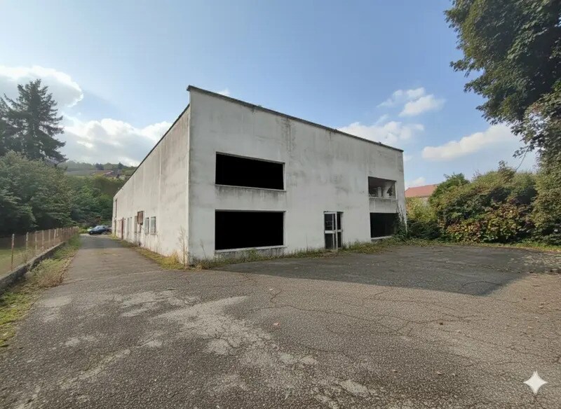 Local d'activités dans Domarin à vendre - Photo de l’immeuble – Image 1 sur 4