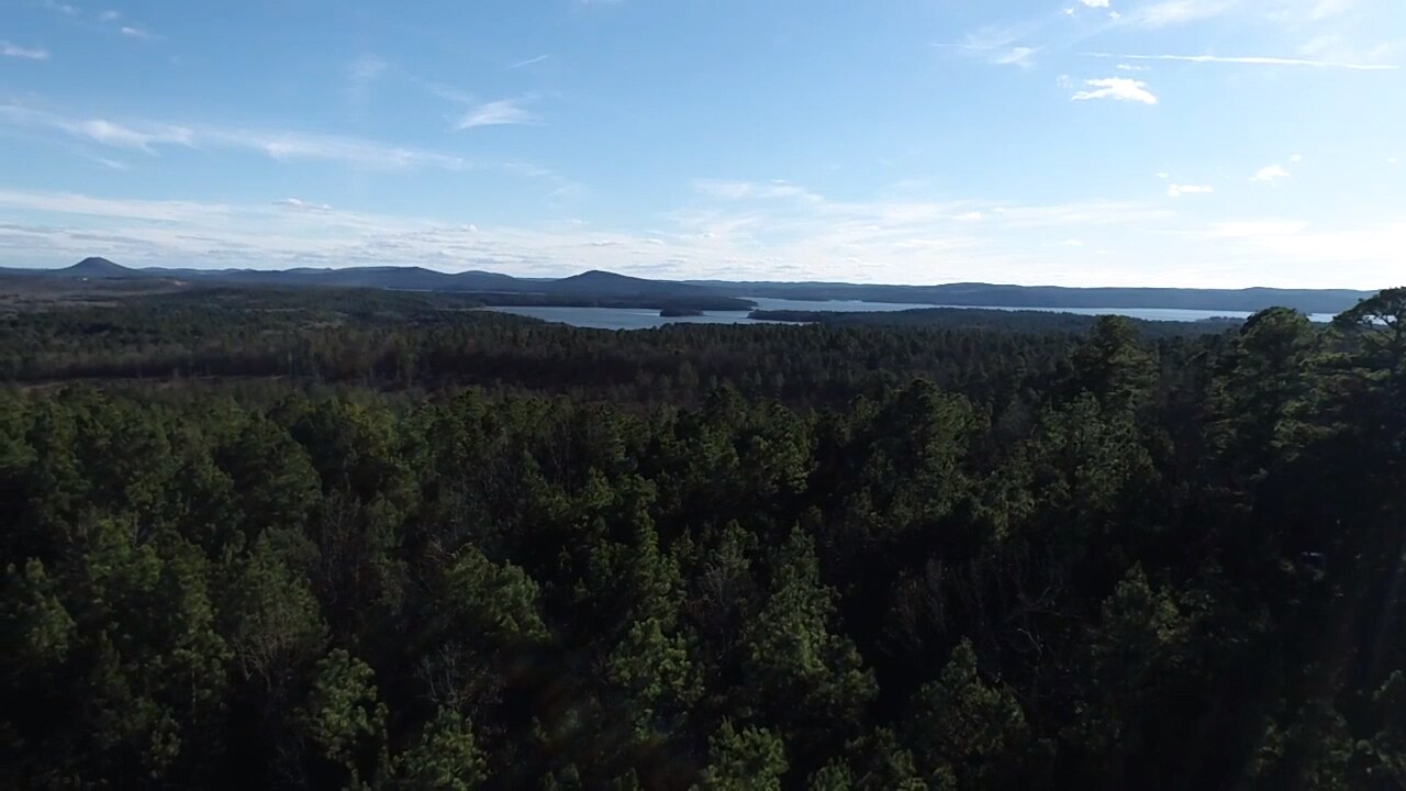 30386 Arkansas 300, Roland, AR à vendre Photo principale– Image 1 sur 5