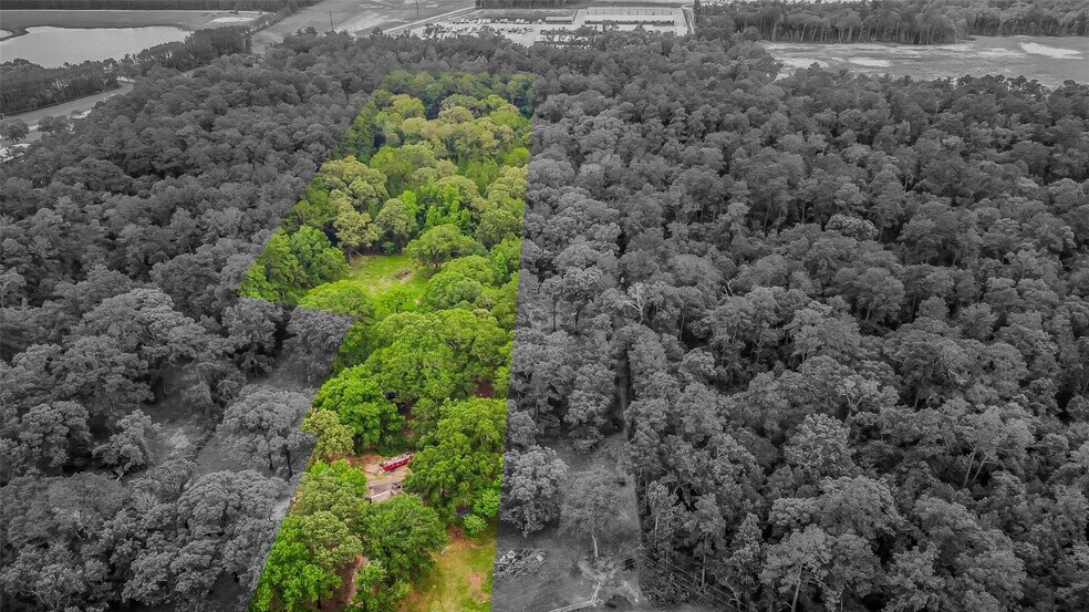 17054 Payne Rd, Conroe, TX à vendre - Photo de l’immeuble – Image 2 sur 16