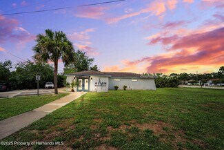 Plus de détails pour 14270 Spring Hill Dr, Spring Hill, FL - Santé à vendre