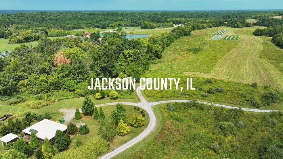 295 Panthers Den Rd, Makanda, IL à vendre - Vidéo sur l’annonce professionnelle – Image 2 sur 81