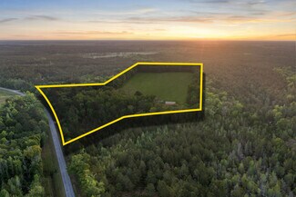 Plus de détails pour 1151 Harry Lindsay Rd, Guyton, GA - Spécialisé à vendre