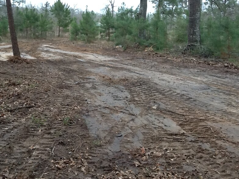 951 Mizell Rd, Conroe, TX à vendre - Photo de l’immeuble – Image 2 sur 3