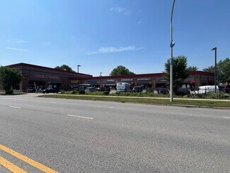 Plus de détails pour 10210-10226 S Indianapolis Ave, Chicago, IL - Local commercial à vendre