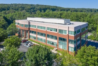 Plus de détails pour 357 S Gulph Rd, King Of Prussia, PA - Bureau à louer