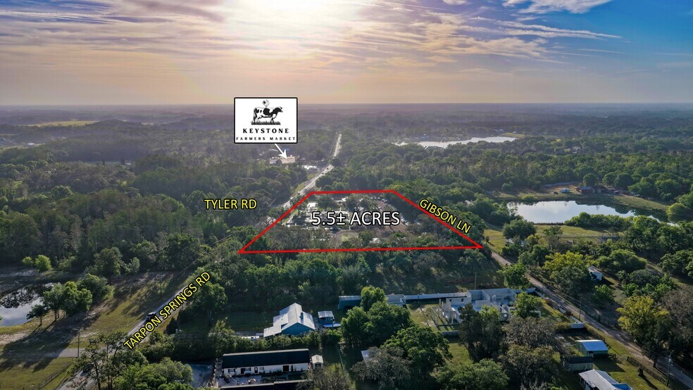 12980 Tarpon Springs Rd, Odessa, FL à vendre - Aérien – Image 2 sur 4