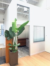 4223 Glencoe Ave, Marina Del Rey, CA à louer Photo intérieure– Image 2 sur 4