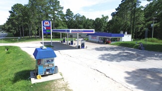 Plus de détails pour 30960 Blue Star Hwy, Midway, FL - Local commercial à vendre