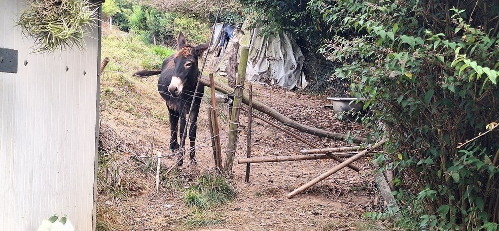 Camino del Molino, S/N, Gijón, Asturias à vendre - Photo de l’immeuble – Image 2 sur 34