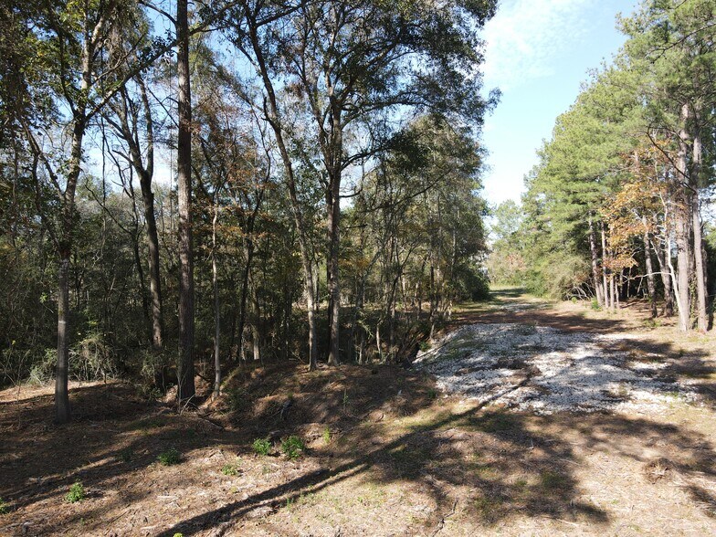 00 Spur 149 Rd, Magnolia, TX à vendre - Photo principale – Image 3 sur 6