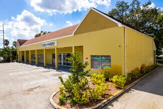 Plus de détails pour 13106 N Florida Ave, Tampa, FL - Bureau, Local commercial à louer