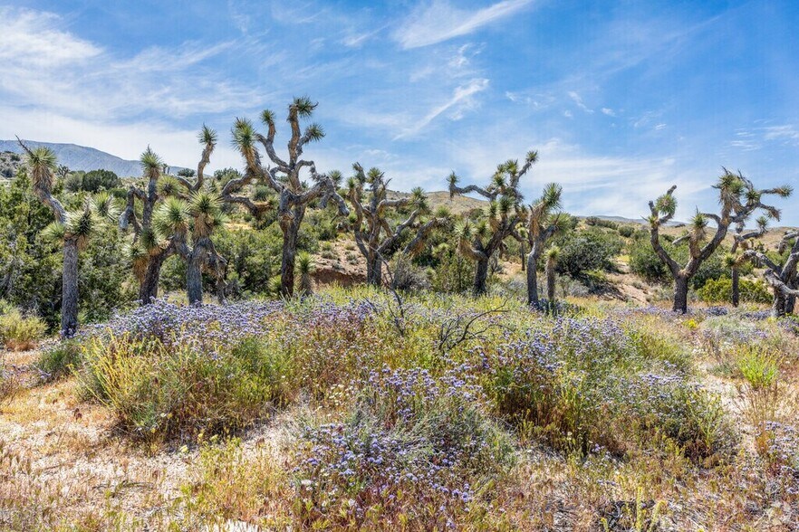 23103 Yucca Circle Rd, Llano, CA à vendre - Photo de l’immeuble – Image 3 sur 3
