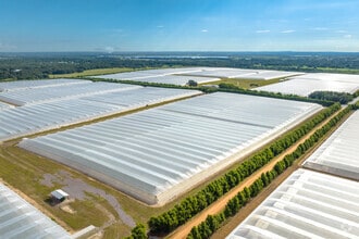 2050 80 Foot Rd, Bartow, FL - VUE AÉRIENNE  vue de carte