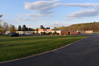 Plus de détails pour 213 Tracy Creek Rd, Vestal, NY - Industriel/Logistique à vendre