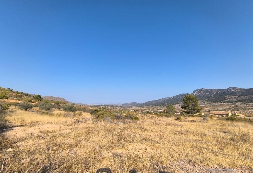 Terrain dans Algueña, Alicante à vendre - Photo principale – Image 2 sur 4
