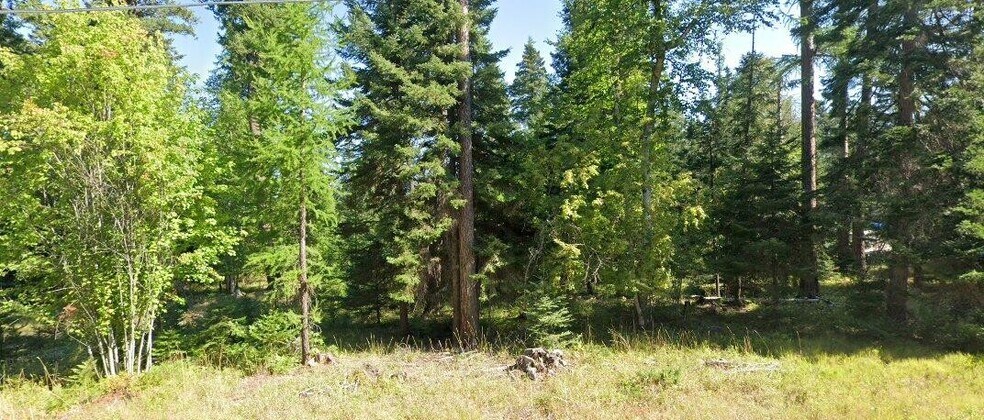 595 Wapiti ln, Bigfork, MT à vendre - Autre – Image 3 sur 7