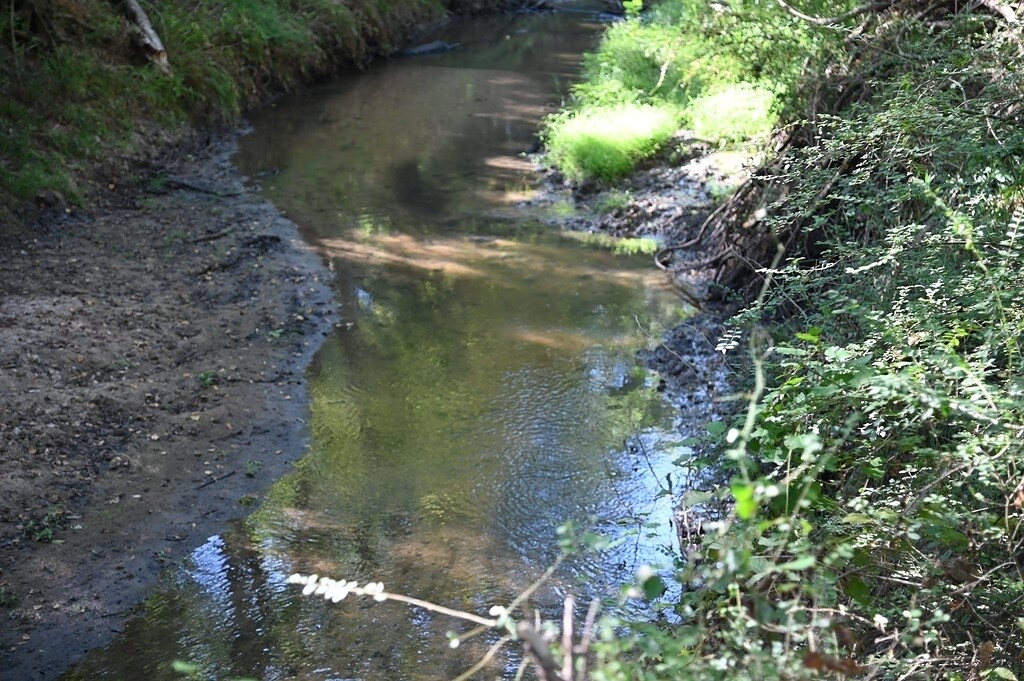 View Photo