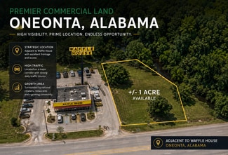 Plus de détails pour 1115 2nd Ave E, Oneonta, AL - Terrain à vendre